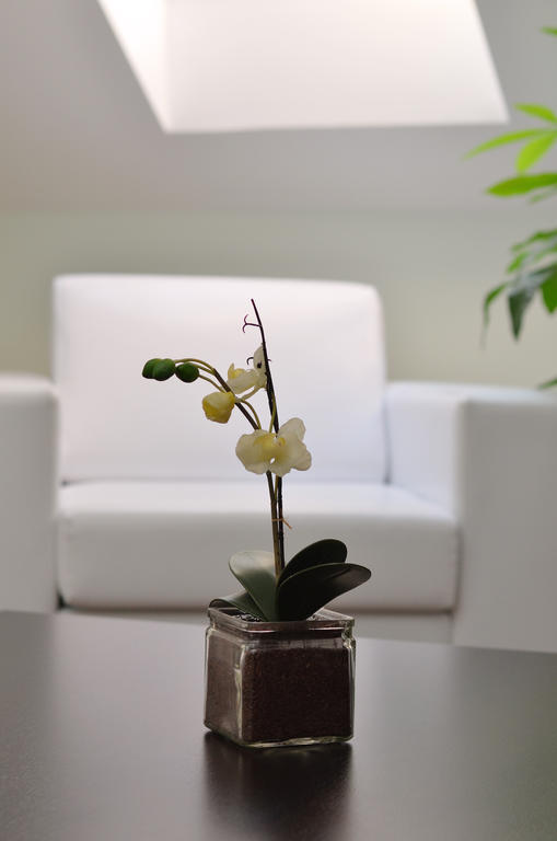 Art Garni Hotel Kanjiža Εξωτερικό φωτογραφία